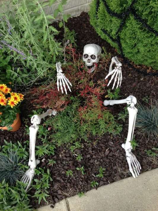Halloween Decor Realistic Skull Skeleton Head Hand Arms for Halloween Party
