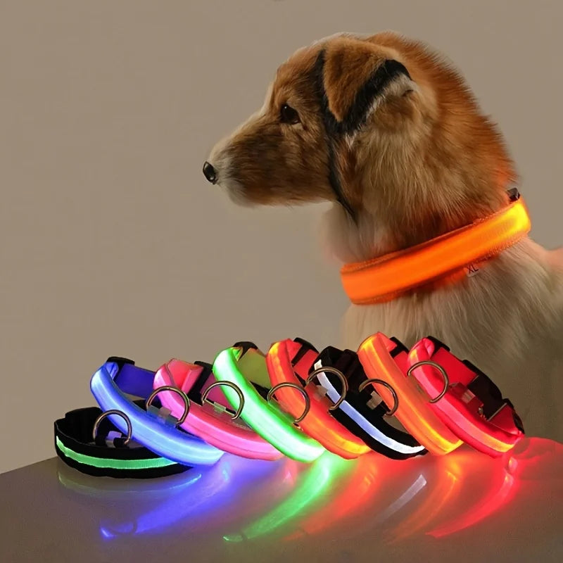 Nylon LED Night Safety Flashing Glow In The Dark Dog Collar