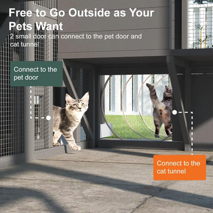 Outdoor Cat House