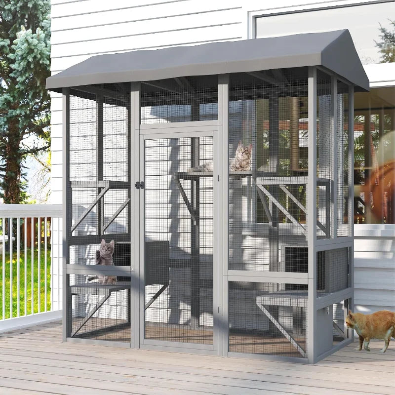 Outdoor Cat House