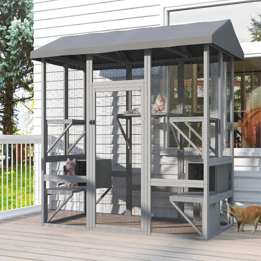 Outdoor Cat House