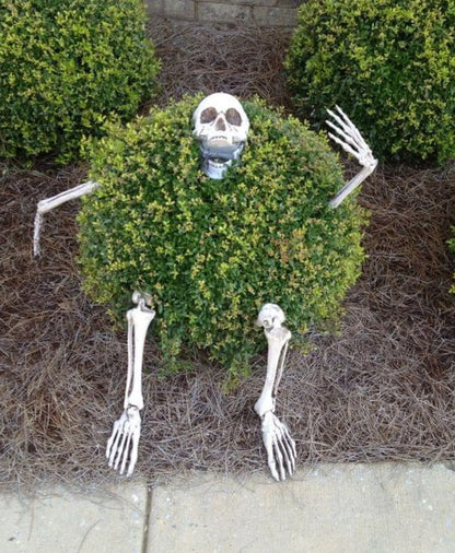 Halloween Decor Realistic Skull Skeleton Head Hand Arms for Halloween Party